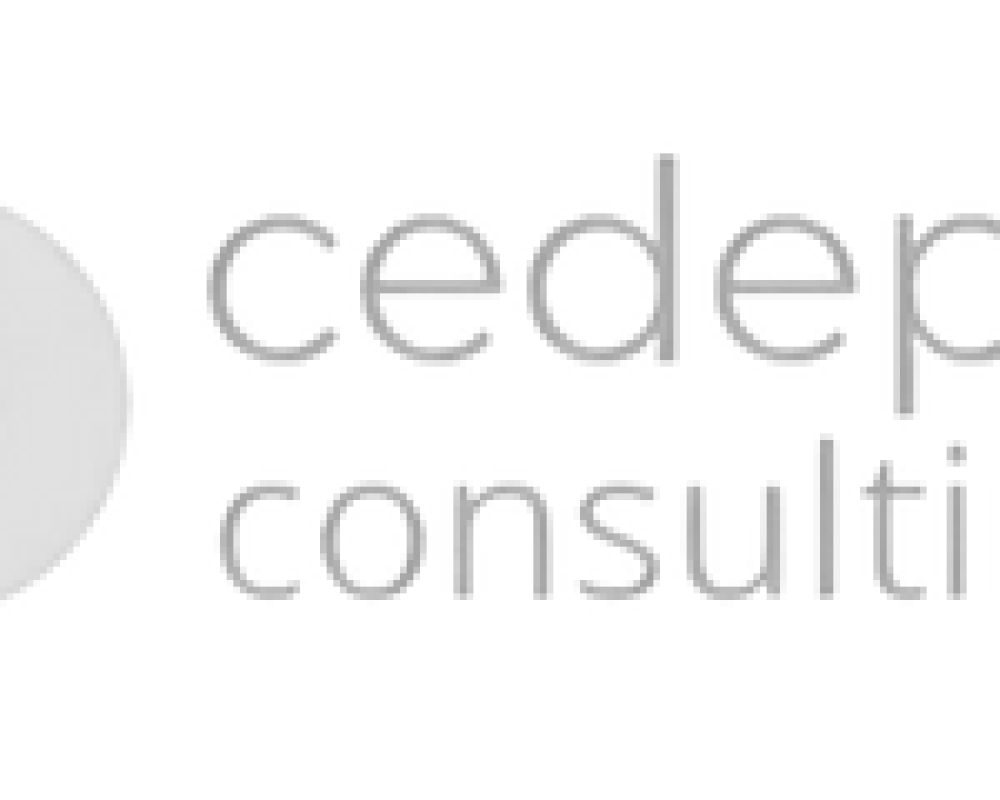 Cedepe Consulting